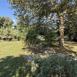 Biblical Gardens