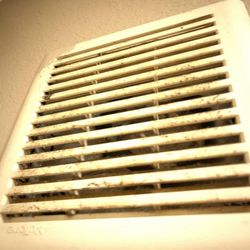 Nasty vent. Clean much? Turning in to Texas Health Department as well.