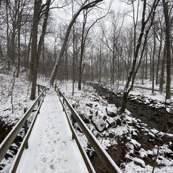 Lubber Run Park and Amphitheater