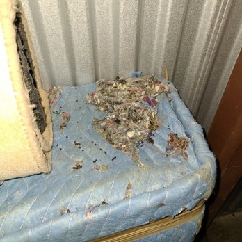 Public Storage - Mouse feces and damage - Self Storage Near Me - Rockville, Maryland Public Storage - Mouse feces and damage - Self Storage Near Me - Rockville, Maryland