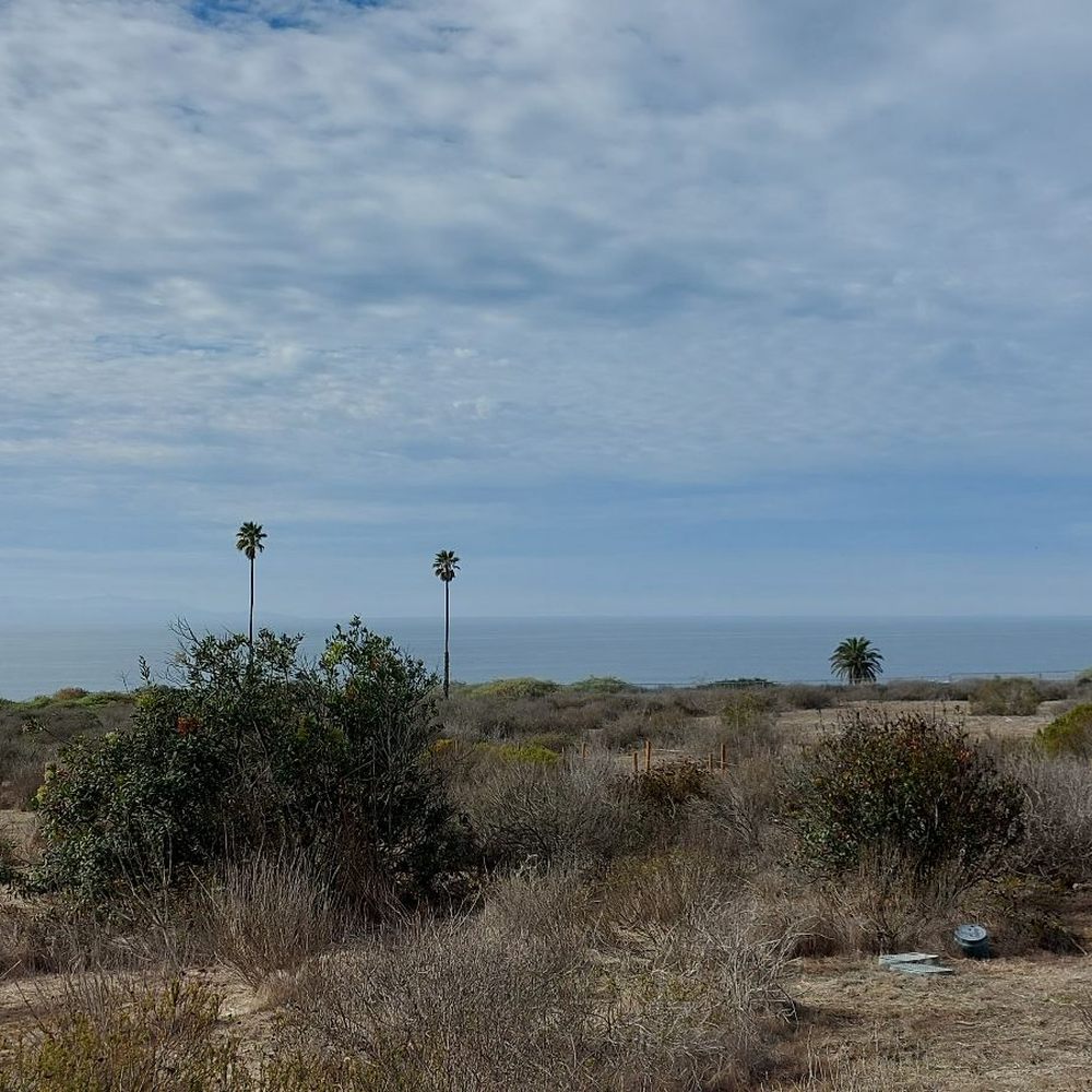 Ocean view