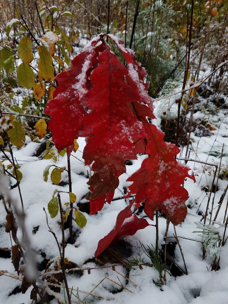 HARTLEY NATURE CENTER 47 Photos 3001 Woodland Ave, Duluth