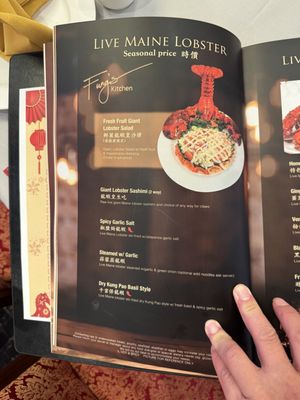 Menu photo 3 Fung's Kitchen Houston, TX