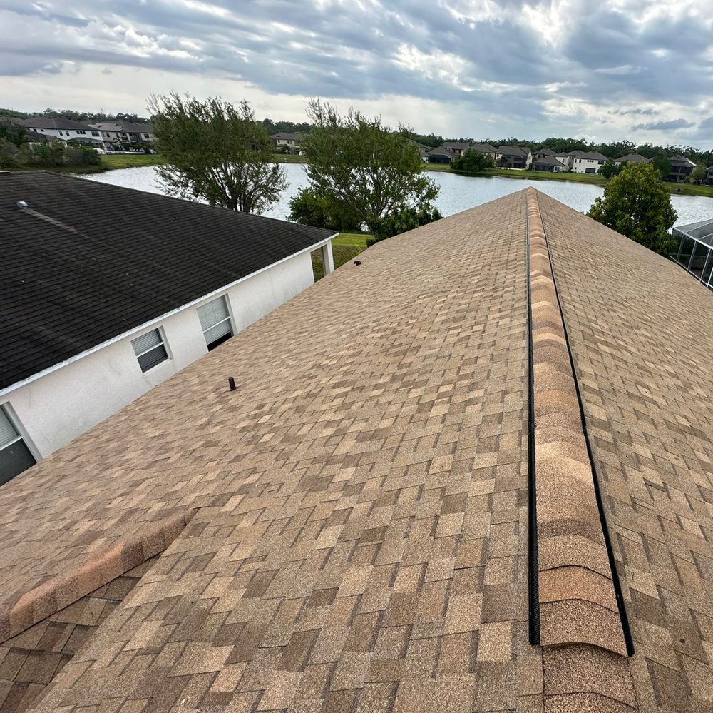 Slide of Mr5 Black Panther roofing