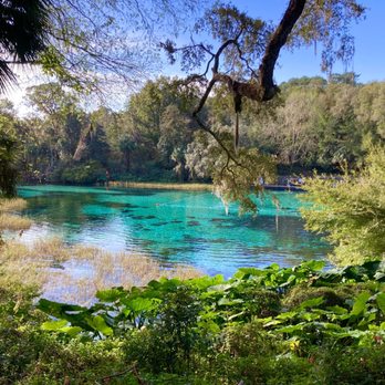 Rainbow Springs State Park - Parks Near Me - Dunnellon, Florida Rainbow Springs State Park - Parks Near Me - Dunnellon, Florida