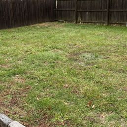 Before
