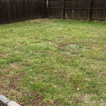Great Escape - Before - Fences & Gates Near Me