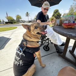 Paradise Valley Health Care Center - Lunch outside great option for fresh air