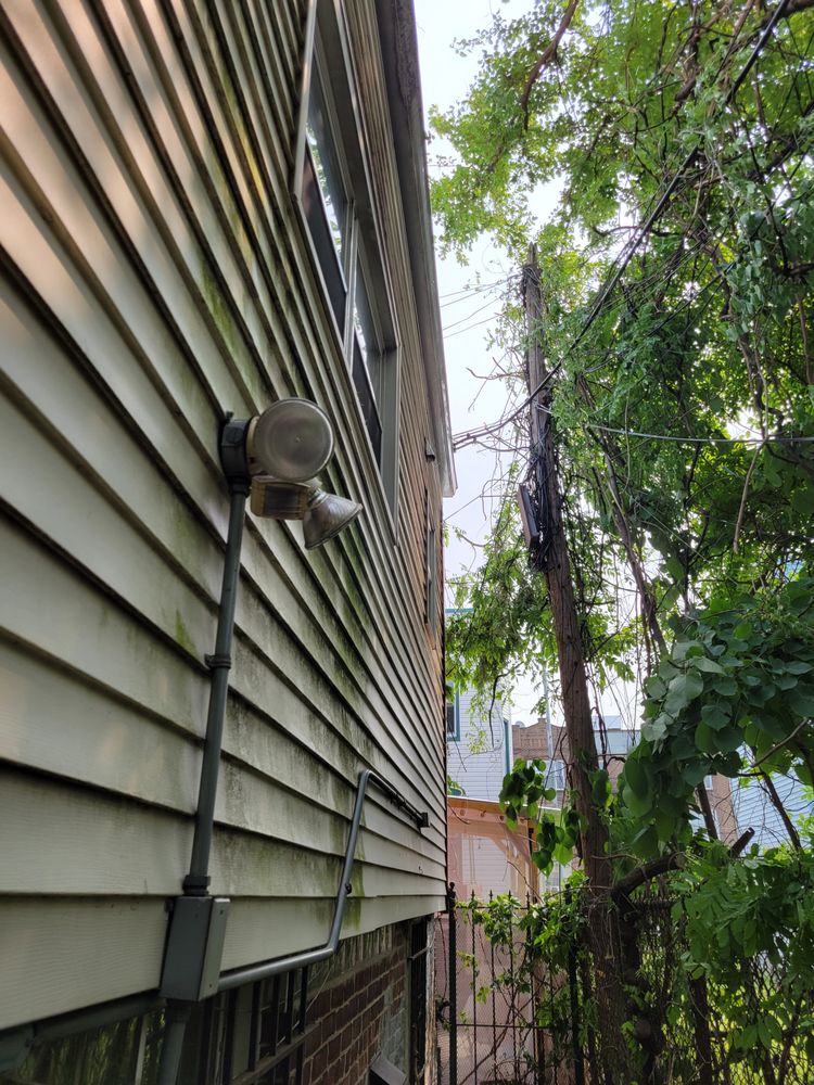 Oliver Family Tree Service - tree service in Plainfield, NJ