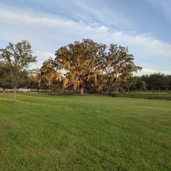 Congaree and Penn - Beautiful grounds - Farms Near Me - Jacksonville, Florida Congaree and Penn - Beautiful grounds - Farms Near Me - Jacksonville, Florida