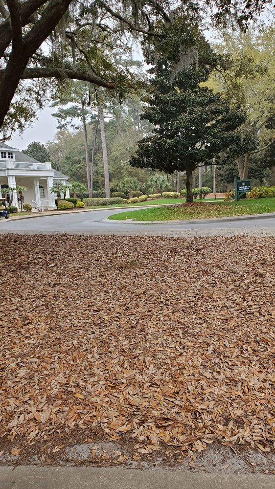 GOLDEN BEAR GOLF CLUB AT INDIGO RUN 38 Photos & 28 Reviews 72 Golden Bear Way, Hilton Head