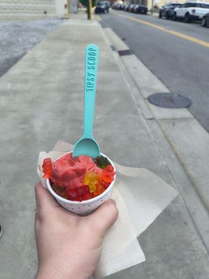 Tipsy Scoop Nashville by null