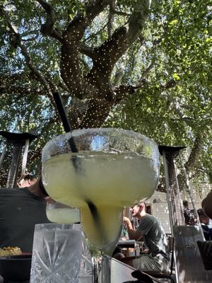 Anejo Mexican Bistro by null