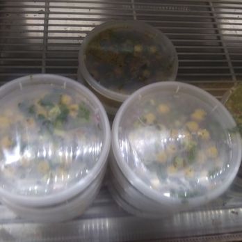 Salem's Grill - Chick pea salad next to tabouli - Indian Near Me - Pittsburgh, Pennsylvania