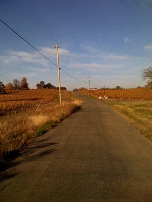 Terre Rouge & Easton Wines by null