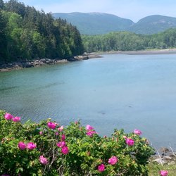 Otter Cove - Acadia National Park - Beautiful views at Otter Cove