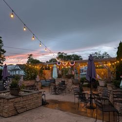 Sunflower - Sunset on the patio