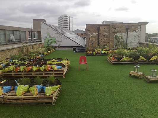 Dalston Roofpark by null