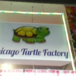 Chicago Turtle Factory - Turtle Factory