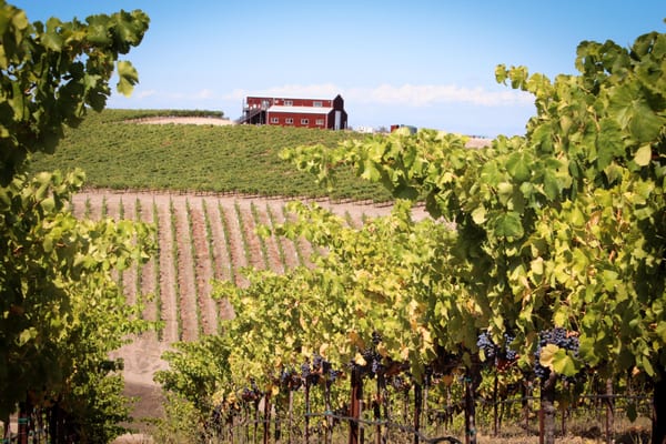Alta Colina Vineyard & Winery by null