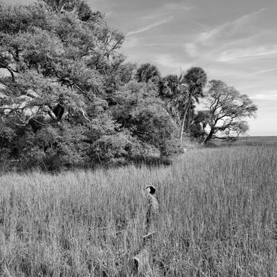 Botany Bay Heritage Preserve/Wildlife Management Area by null