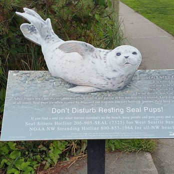 Alki Beach Park - Parks Near Me - Seattle, Washington