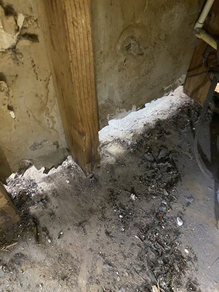 Slide of Ralph's repairs and restoration services