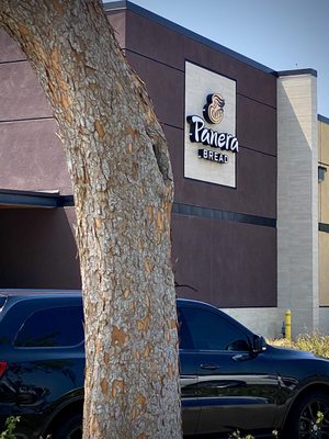 Panera Bread by null