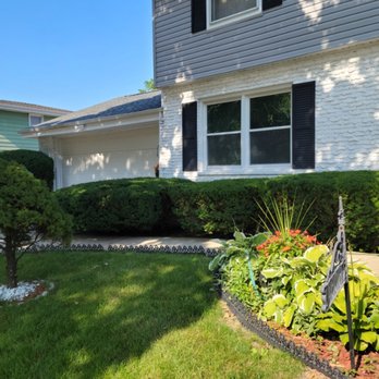 The Lawn Queen - Hedges after cut and Shape - Lawn Services Near Me The Lawn Queen - Hedges after cut and Shape - Lawn Services Near Me