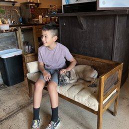 My son made a friend and wanted to take the Frenchie home. My son made a friend and wanted to take the Frenchie home.