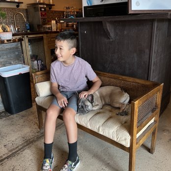 Barney’s Coffee Shop - My son made a friend and wanted to take the Frenchie home. - Coffee & Tea Near Me - Brady, Texas Barney’s Coffee Shop - My son made a friend and wanted to take the Frenchie home. - Coffee & Tea Near Me - Brady, Texas