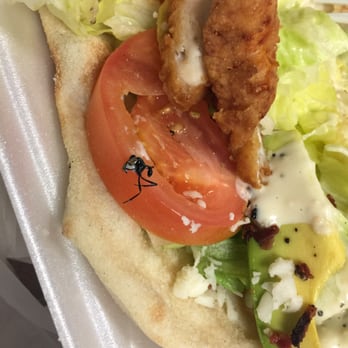 Pronto Pizza - FLY!!!! - Italian Near Me - West Palm Beach, Florida Pronto Pizza - FLY!!!! - Italian Near Me - West Palm Beach, Florida