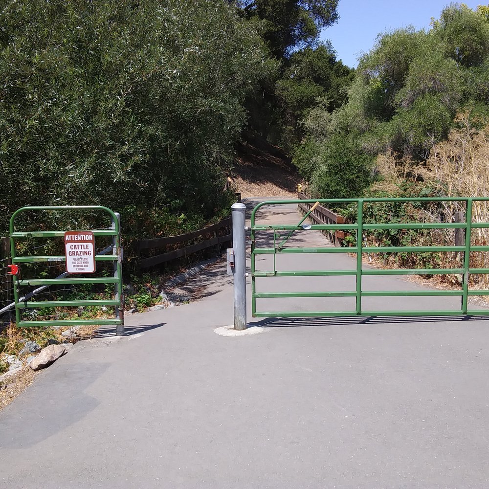 Sabercat Creek Trail - Cattle grazing gate - Parks Near Me - Fremont, California Sabercat Creek Trail - Cattle grazing gate - Parks Near Me - Fremont, California