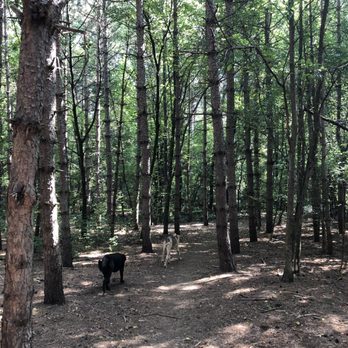 Conroy Pit - Dog Parks Near Me - Ottawa, Ontario