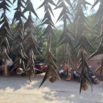 Sativa - Dance Clubs Near Me - Zicatela, OAX Sativa - Dance Clubs Near Me - Zicatela, OAX