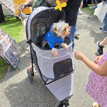 Art In the Park - Festivals Near Me - Northbrook, Illinois