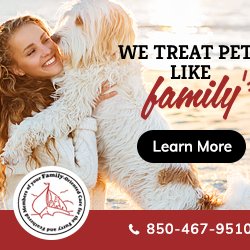 Safe Harbor Animal Hospital