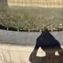 Photo of Fontana del Belvedere