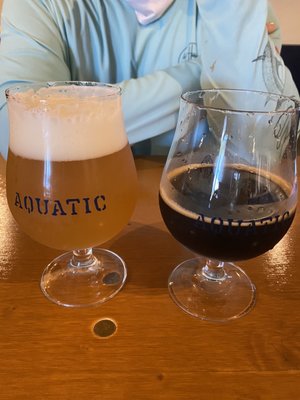 Aquatic Brewing by null
