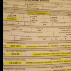 Live Oak Police Department - Explain how police let a felon on probation kill animals and have drugs and a weapon in a hotel room and let it go. Corruption at its best.