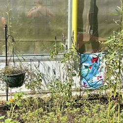 Panhandle Butterfly House & Nature Center - Gardens at Butterfly House 9.28.24