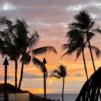 Spago - Gorg view - Asian Fusion Near Me - Maui, Hawaii Spago - Gorg view - Asian Fusion Near Me - Maui, Hawaii