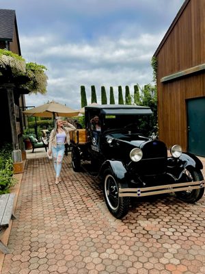 Turnbull Wine Cellars by null