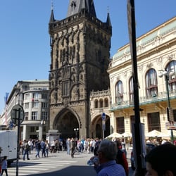 Yellow Zebra - Powder Tower