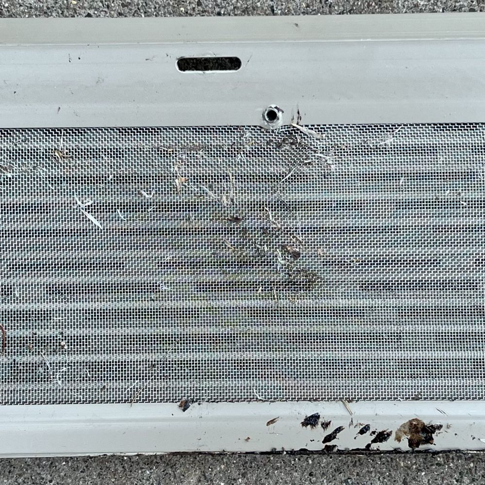 LeafFilter - ONE DAY'S WORTH of DEBRIS! I wish I would have photographed five month's worth. - Gutter Services Near Me - Eden Prairie, Minnesota
