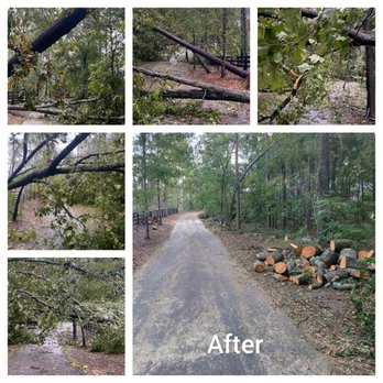 YWS Tree Service - Tree Services Near Me YWS Tree Service - Tree Services Near Me