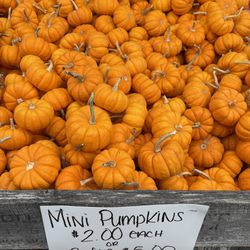 Vince's Farm and Nursery