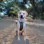 Photo of Almaden Quicksilver County Park