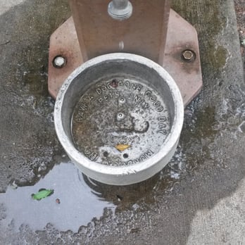 Stockton Park - Have a doggone good day! Pet watering station. - Parks Near Me - Jacksonville, Florida