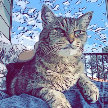 Your Pet's Nanny - Cuddling on the catio w/comic book filter - Pet Sitting Near Me Your Pet's Nanny - Cuddling on the catio w/comic book filter - Pet Sitting Near Me